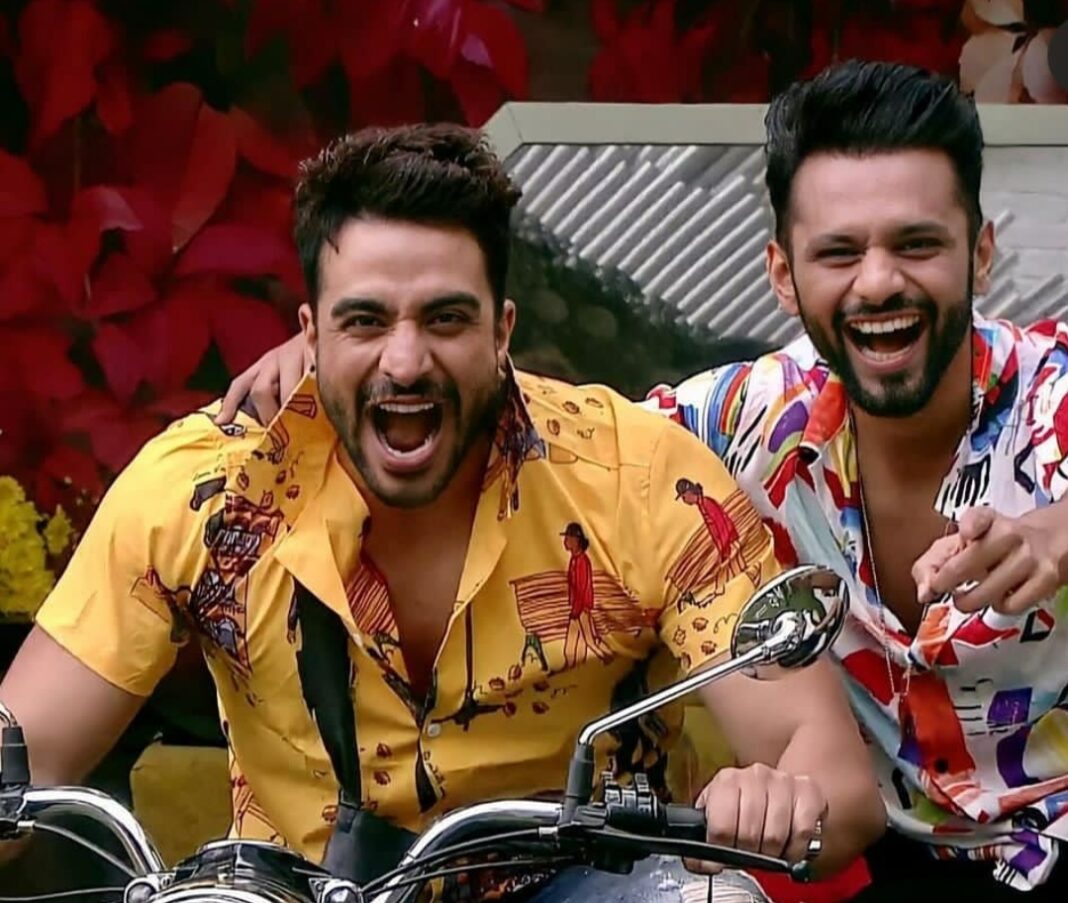 Aly Goni and Rahul Vaidya Pics