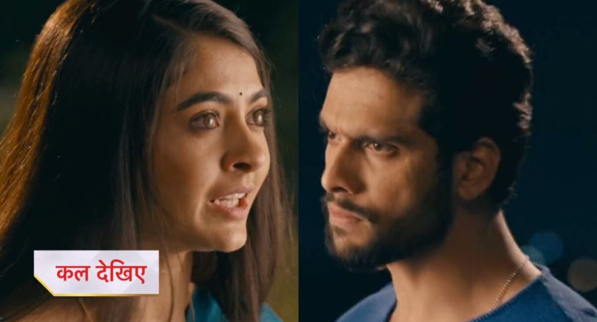 Mehndi Hai Rachne Waali Spoiler: Pallavi comes under Raghav's hit list